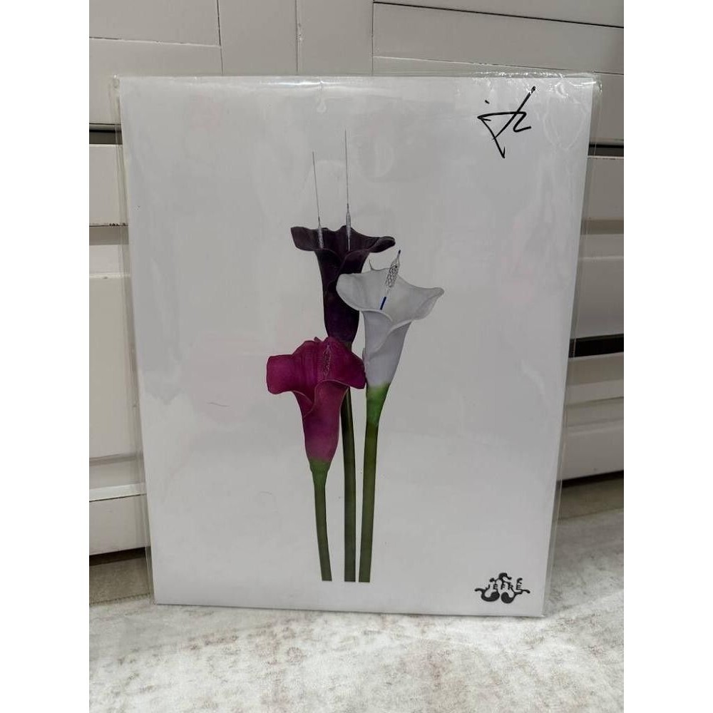 JEFRË Signed Art Print Flowers Calla Lily Cardiac Stents 11x14 OMA Contemporary